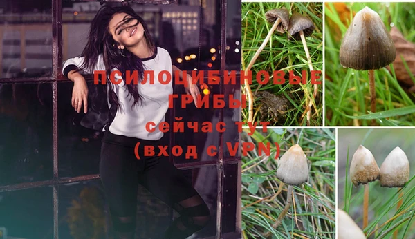 сатива Верхний Тагил