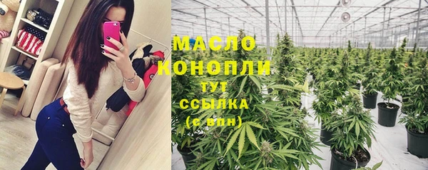 сатива Верхний Тагил