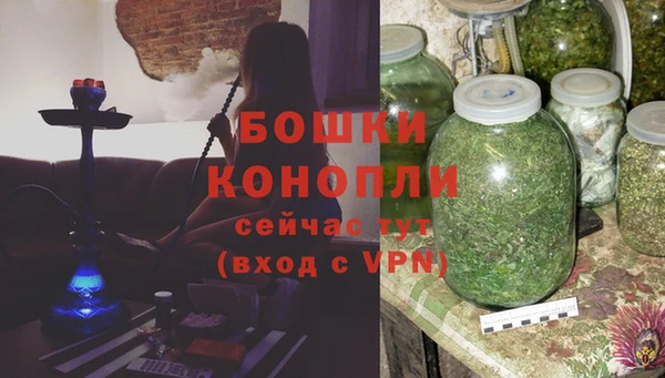 сатива Верхний Тагил