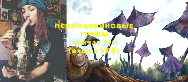 МДПВ Верхнеуральск