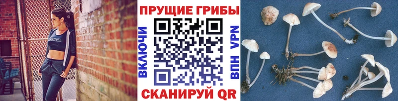 Галлюциногенные грибы Magic Shrooms  Купить где  Минеральные Воды 